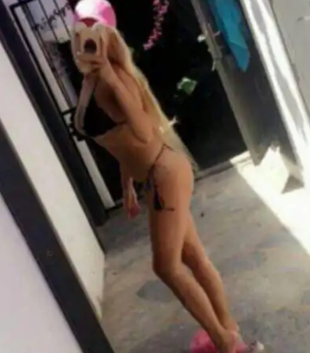 Ankara Yeni Çıtır Öğrenci Escort Açelya - Image 2